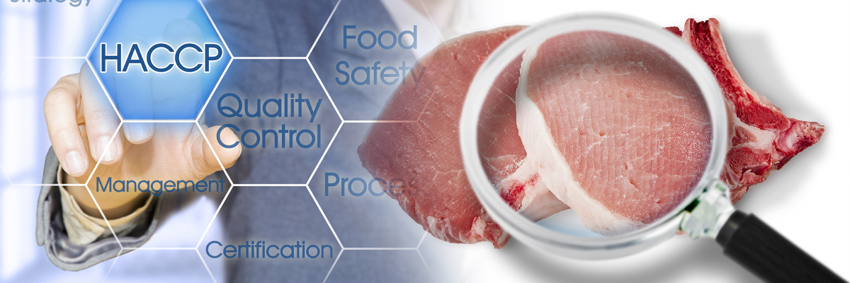 Beginners Guide To HACCP