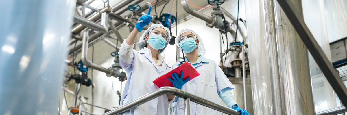 Food Safety Certification vs Training