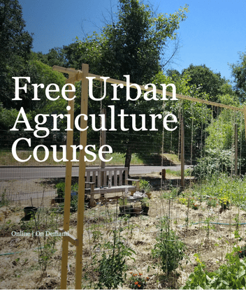 Free Urban Agriculture Course
