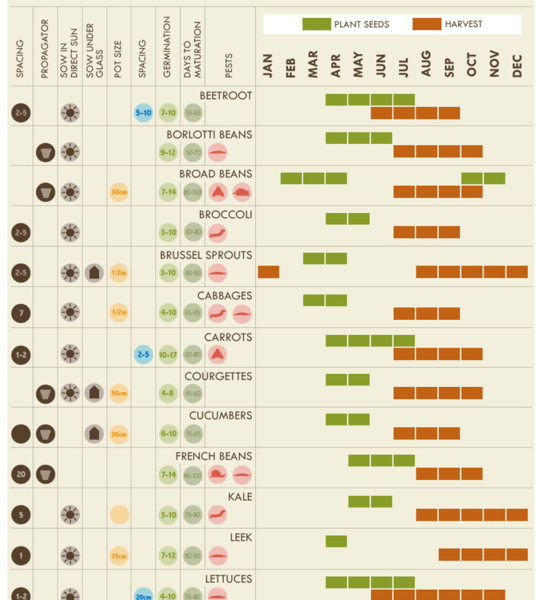 where to plant vegetables