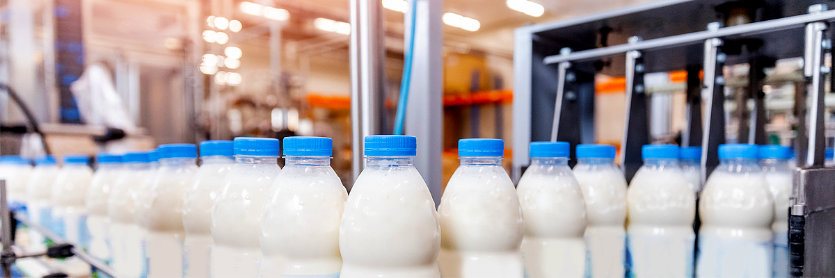 dairy-manufacturing