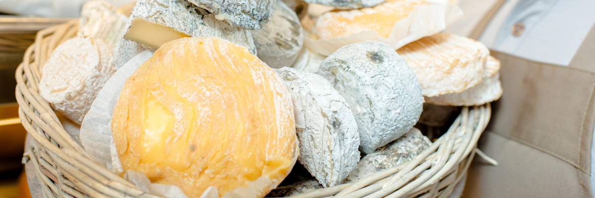 Specialty Cheese Production Assistant