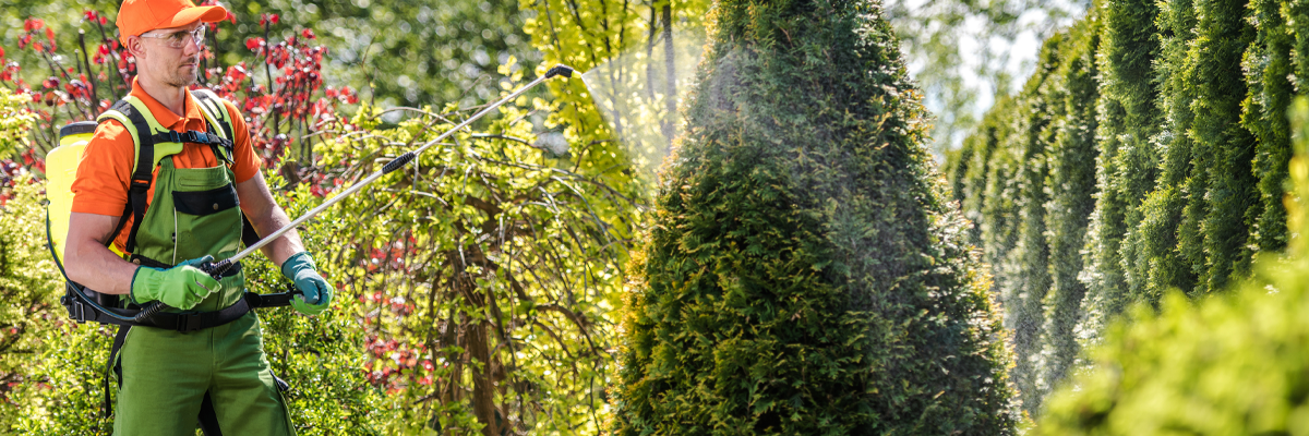 pesticide-blog3