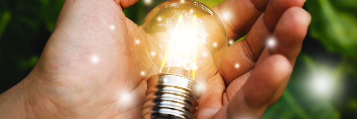 The Spark: A Professional Development Course