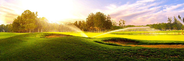 How the Turfgrass Program Expanded Its Reach Through PACE