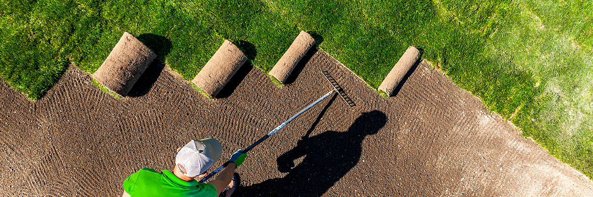 Specialization and Modular Pathways